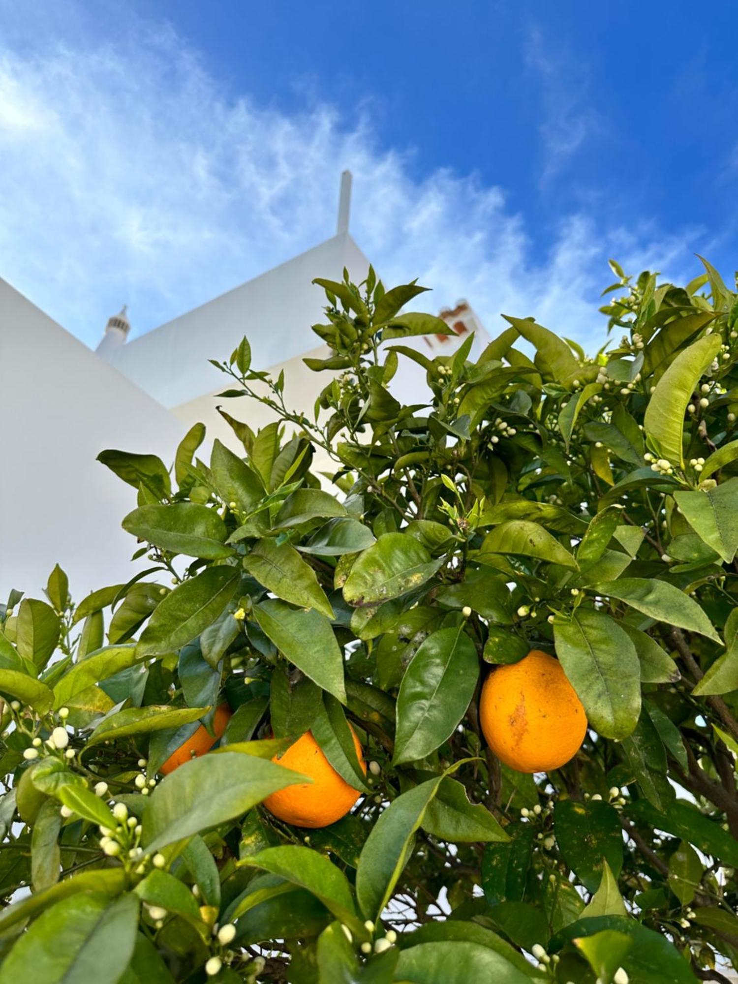 Casa Malia Luxury Guest House Praia Da Luz Exterior foto